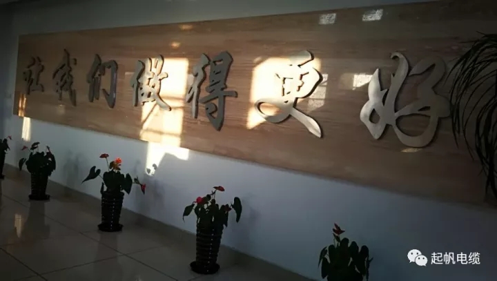 第六届金山区区长质量奖公布，asiagame电缆周供华榜上有名